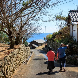 松尾地区 集落歩きツアー 1人分 観光 地元ガイド付き チケット アコウ 松尾天満宮 足摺半島 家族旅行 旅行 国内旅行 自然 神社 文化 徒歩 高知県 高知 土佐清水市【R01504】
