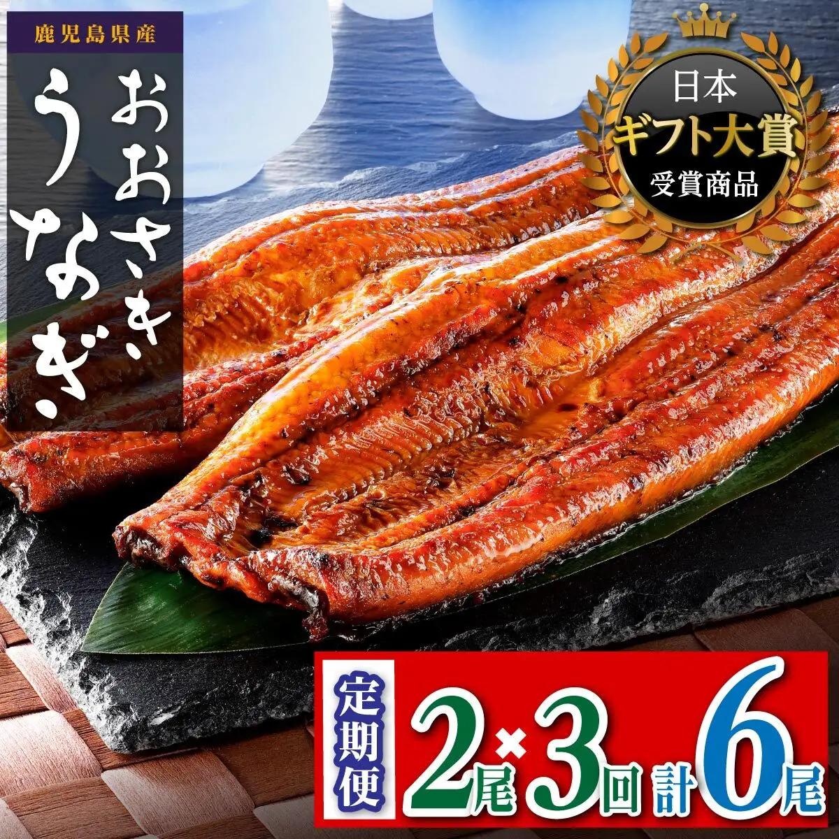 【定期便】おおさき うなぎ 鹿児島県産 うなぎ 長蒲焼  合計6尾（2尾×３回）
