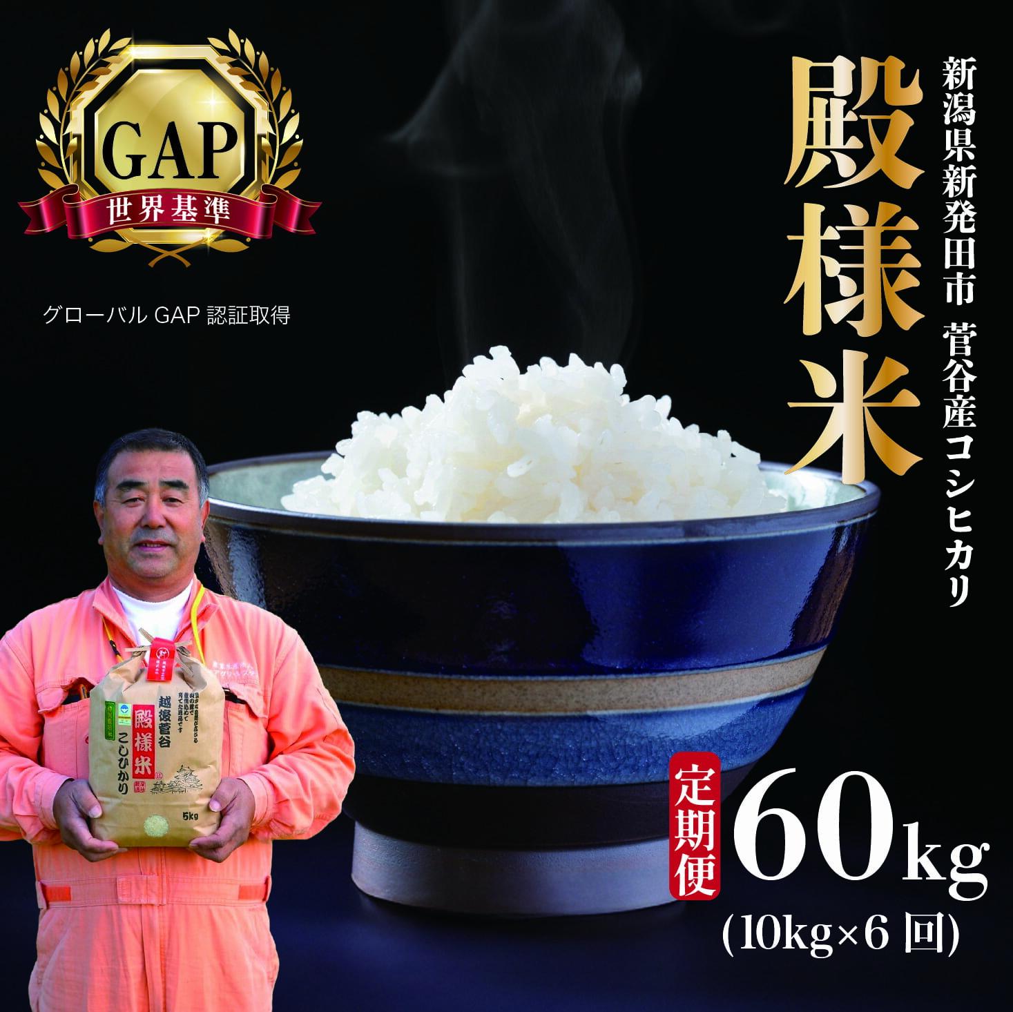 【ふるさと納税】 定期便 令和7年産 コシヒカリ 殿様米 10kg×6ヵ月 新潟県 新潟産 新発田産 米 玄米 コシヒカリ 特別栽培米 越後菅谷米販売 10kg 6ヵ月 60kg 定期便 殿様 数量限定 D17_02