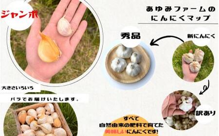 令和８年度産 秘境の地からお届けする あゆみファームのご家庭用ジャンボにんにく 3kg【7月下旬から順次発送】/ にんにく ニンニク ジャンボにんにく 予約受付 ガーリック 和歌山【aym015A】