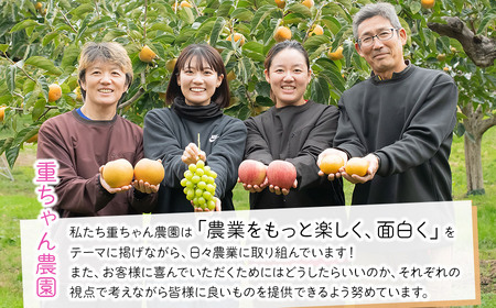 【令和7年産先行予約】 大人気 シャインマスカット 2房 （約1kg）山形県鶴岡産　重ちゃん農園