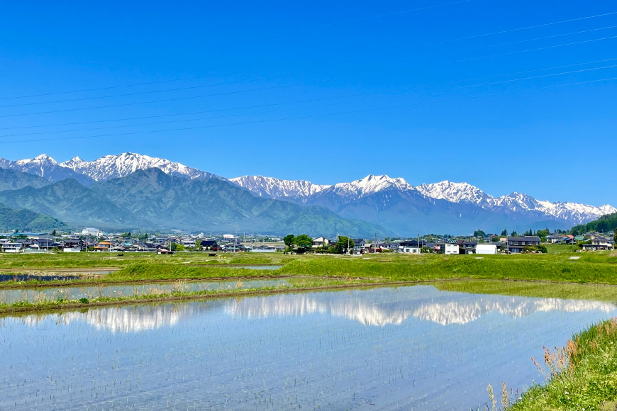 宿泊券 民宿 【全部屋絶景】貸切 [民宿 山想 長野県 池田町 48110691]  素泊まり 旅行_イメージ5