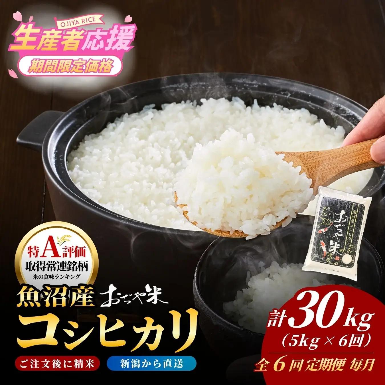 魚沼産コシヒカリ 令和7年 定期便 30kg おぢや米 5キロ×6回 毎月 小千谷市 コシヒカリ