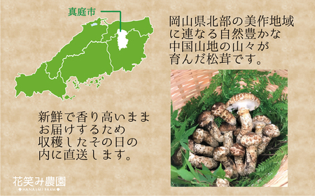 【2616-0479】岡山 花笑み農園 超希少！早『松茸』200g 梅雨の恵み (6月から7月発送)