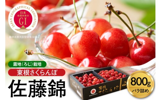 【2027年産】GI東根さくらんぼ「佐藤錦」800g バラ詰め 山形県 東根市 hi001-039-r9 フルーツ JA 農協 人気 さくらんぼ 佐藤錦 バラ 贈答 ギフト 化粧箱 産地直送 冷蔵 先行