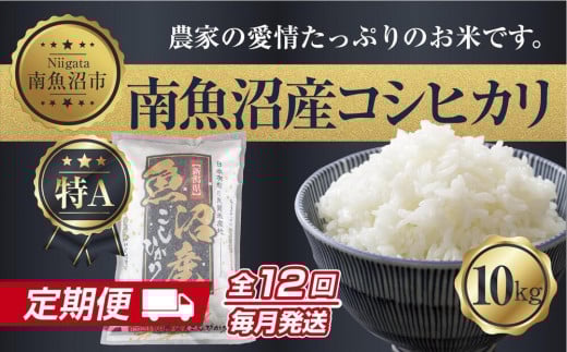 
            【定期便】 新潟県 南魚沼産 コシヒカリ お米 10kg×計12回 精米済み 年間 毎月発送 こしひかり（お米の美味しい炊き方ガイド付き）【2025年10月中旬より順次発送予定】
          