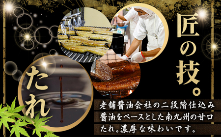【丑の日】宮崎県育ちのうなぎ蒲焼3尾500g以上≪山椒・たれ付≫≪7月10日～18日お届け≫_AC-M301-UG_(都城市) うなぎ蒲焼(有頭) 宮崎県産 真空 山椒・たれ付 丑の日