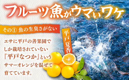 【全12回定期便】タイ 平戸なつ香 約2kg 【坂野水産】[KAA478]