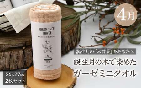 4月「桜」の木言葉 「純潔」 BIRTH TREE TOWEL |  ガーゼ ガーゼ ガーゼ ガーゼ ガーゼタオル ガーゼハンカチ タオル ハンカチ ふわふわ 草木染 染め RYOKUSUIEN 緑酔園 埼玉県 草加市 草加
