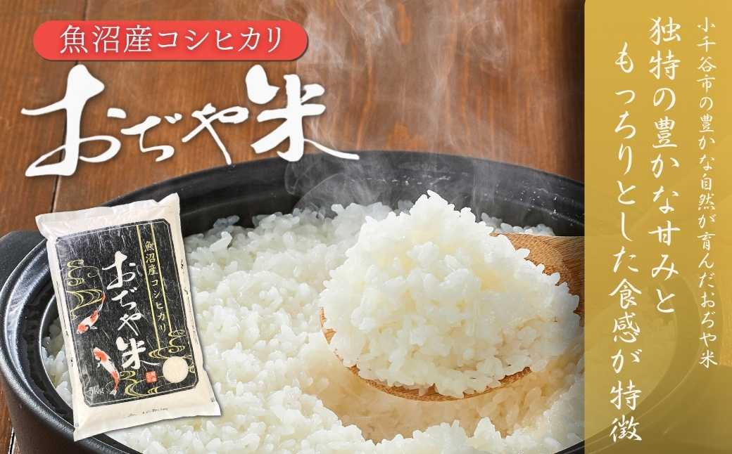 令和7年産 魚沼産コシヒカリ 棚田米 おぢや米 食べ比べ10kg(5kg2袋) | 新潟県産 コシヒカリ お米 米 こしひかり おこめ こめ コメ 白米 精米 魚沼産 ブランド米【0002-0400-