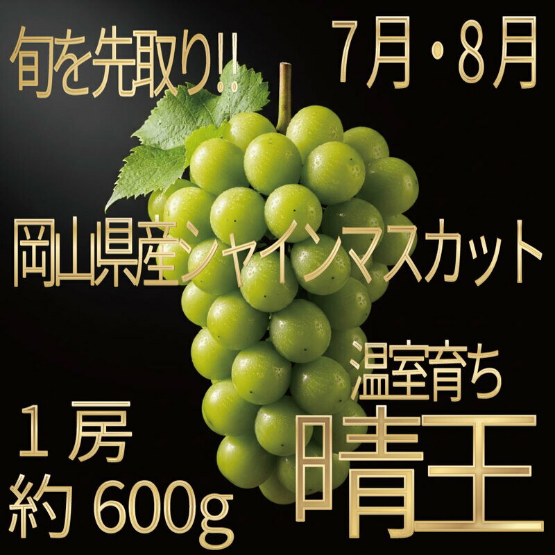 【ふるさと納税】[HS]ぶどう先行予約7月・8月発送温室シャインマスカット晴王1約600g ブドウ 葡萄 岡山県産 国産 フルーツ 果物 ギフト デザート 食後 酸味が少ない 産地直送　お届け：2026年7月1日～2026年8月31日