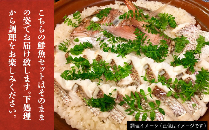 【五島列島直送】朝獲れ鮮魚セット6kg 五島市/鯛福丸水産[PDP012]   魚 鮮魚 セット 海鮮 直送 さかな 詰合せ 冷蔵