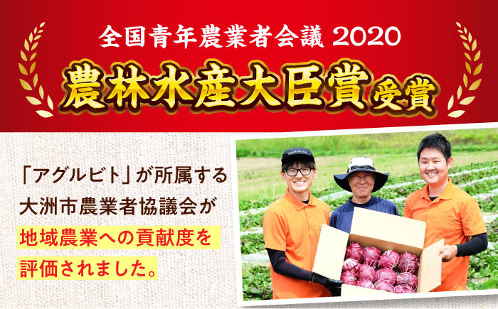 【全6回定期便】生産者の顔が見えるから安心して食べられる！毎回ちがう旬の農産物定期便　愛媛県大洲市/大洲市青年農業者協議会 [AGBL001]サラダ カレー トマト 料理 収穫 ダイエット ヘルシー 
