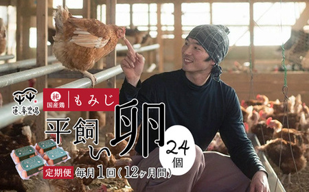 【定期便12ヶ月】平飼いたまご 24個【 卵定期便 平飼い卵  平飼いたまご 平飼い卵  平飼いたまご 平飼い卵  平飼いたまご 】