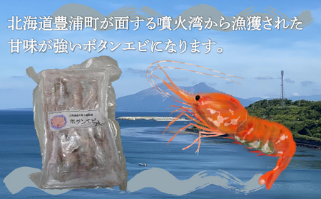 冷凍ボタンエビ 中サイズ 計800g（34～40尾） 北海道 噴火湾産  