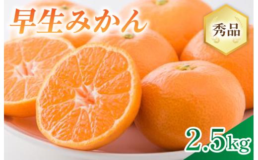【先行予約】早生みかん S～Lサイズ　2.5㎏【在庫限り】【KA00780】
