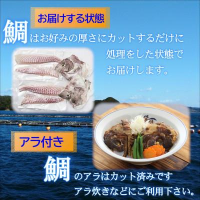 ふるさと納税 松浦市 鷹島のおいしかタイ(1.2kg) |  | 02