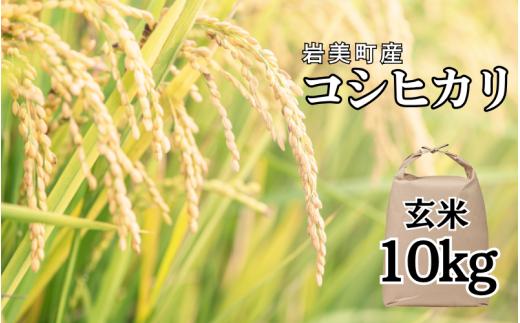 岩美町太田産コシヒカリ（玄米）10kg｜鳥取 岩美 お米【31032】