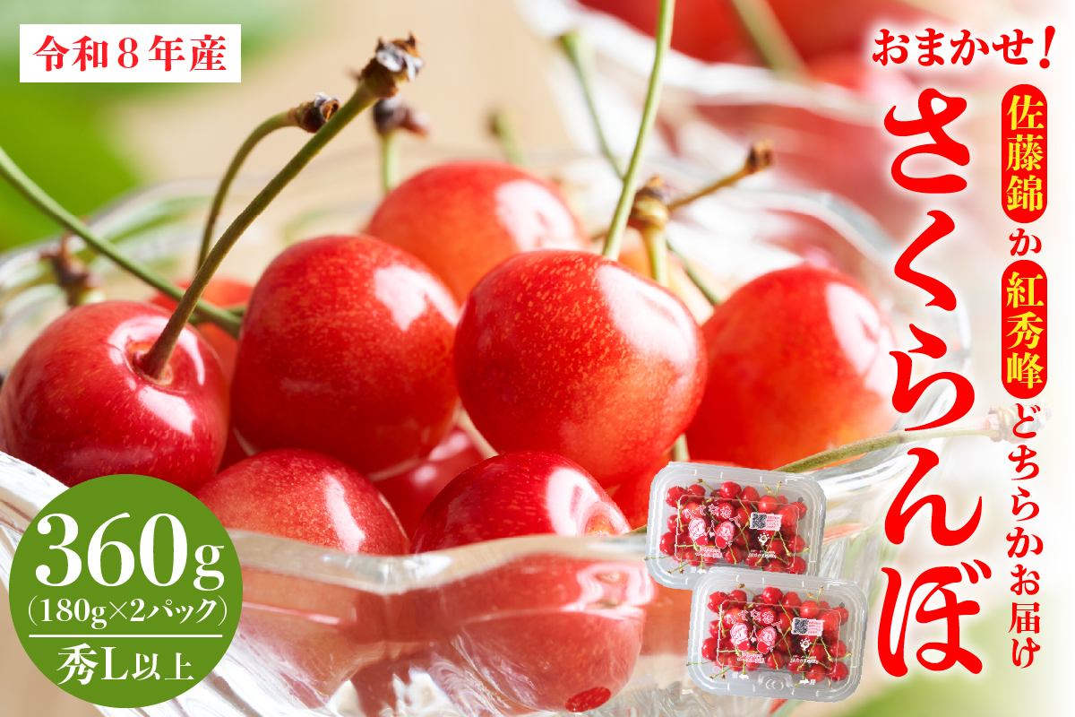 【令和8年産】おまかせさくらんぼ「佐藤錦or紅秀峰」秀Ｌ以上 360g （180gフードパック×2パック）【JAさがえ西村山】 ka008-110e