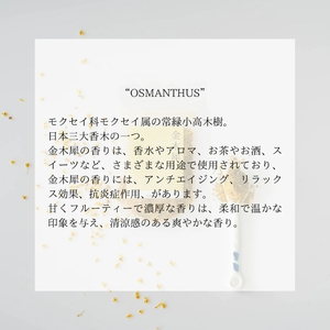 金木犀・黒文字　FORESTEA ハーブティーセット myz08 myz11 myz24