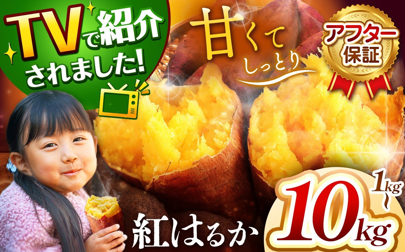 
            甘くておいしい！べにはるか 1kg ~ 10kg 先行予約 ＜ 2025年9月中旬より順次発送予定 ＞｜ さつまいも サツマイモ 芋 いも 野菜 紅はるか べにはるか 1kg 5kg 10kg
          