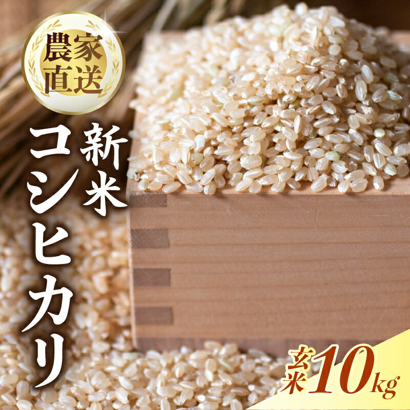 【ふるさと納税】 新米 玄米 10キロ 数量限定 令和7年度 コシヒカリ 10キロ 8月20日より発送 玄米 超早場米 米 コメ お米 精米 早場米 新米 ご飯 おにぎり こめ 白米 高知県 南国市