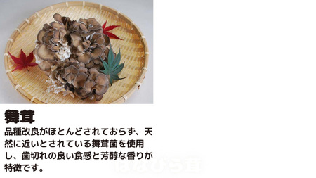 【 3ヶ月連続定期便 】きのこ の 詰め合わせ Lサイズ ( 約2kg ) （茨城県共通返礼品：城里町） キノコ セット 野菜 低カロリー ダイエット デトックス バラエティ セット 新鮮