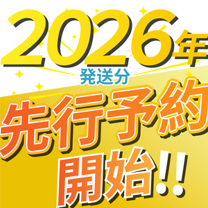 【先行予約】【2026年9月より順次発送】 梨 豊水 3kg |  | 栃木県 下野市