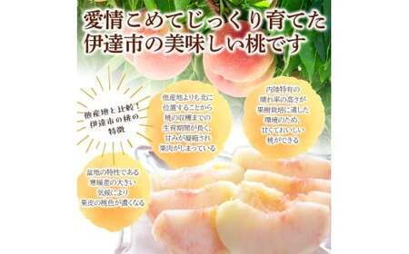 旬の桃 伊達市産 どれが届くかお楽しみ白桃 1kg（3～5玉）2024年7月上旬～2024年8月下旬出荷 伊達の桃 桃 もも モモ 名産品 果物 くだもの フルーツ 国産 産地直送 F20C-946