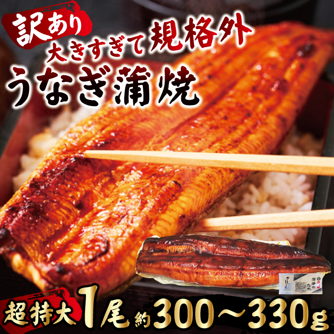 ＜すぐ届く！＞ ＜訳あり＞ うなぎ 蒲焼き 1尾 計300g以上 (1尾あたり300g～330g×1尾) 冷凍 たれ 山椒 鰻 ウナギ うな重 ひつまぶし かばやき 訳アリ 丑の日 茨城県 スピード発