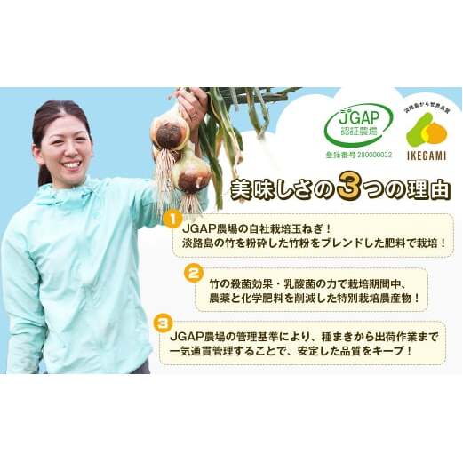 【定期便】淡路島 池上農場の完熟たまねぎ「あやたけ」5kg　12ヶ月コース　　[玉ねぎ 玉葱 淡路島 玉ねぎ たまねぎ]_イメージ2