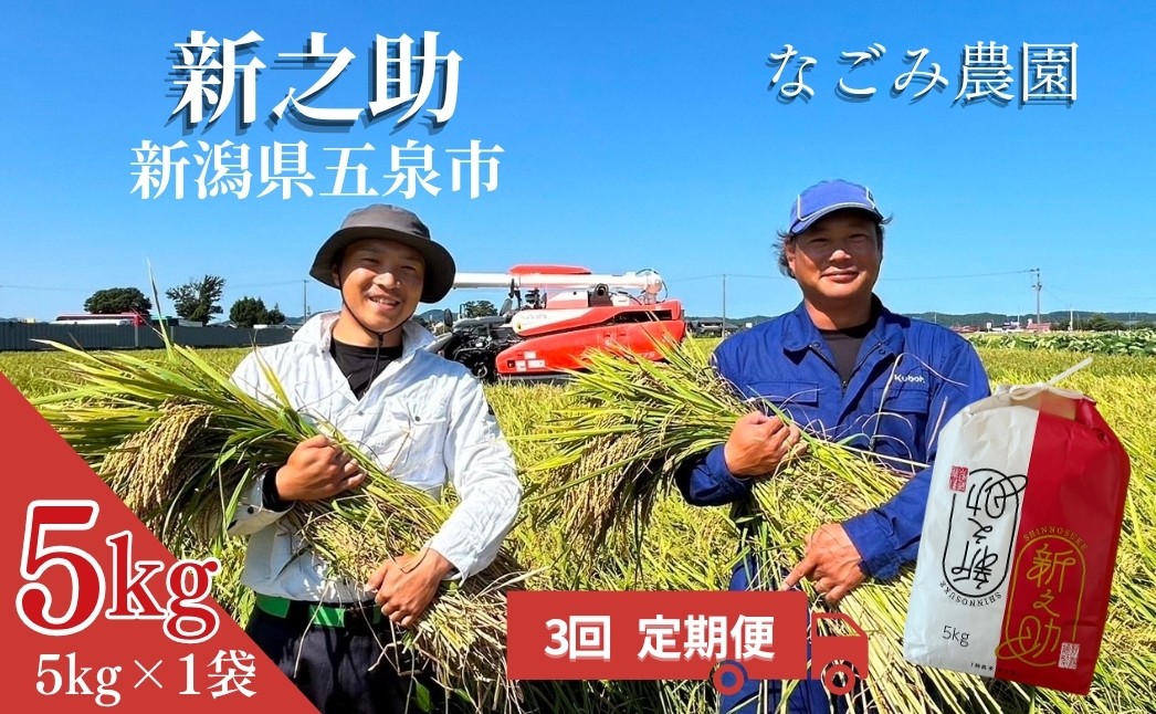 
                  【先行予約】【令和8年産】〈3回定期便〉なごみ農園の新之助5kg (5kg×1袋) 緑白綬有功章受章 | しんのすけ 新潟県産 お米 おこめ こめ コメ ご飯 ごはん 白米 精米 ブランド米 おすすめ 新潟県 五泉市 なごみ農園
                