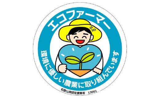 【 県認定エコファーマー】採れたてタネなし脱渋甘柿（刀根早生）Lサイズ7.5kg  ※10月中旬～下旬ごろに順次発送（日付指定不可）【art001A】