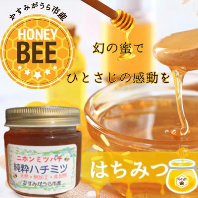ふるさと納税 かすみがうら市 かすみがうら市産『日本みつばち』の純粋はちみつ 150g