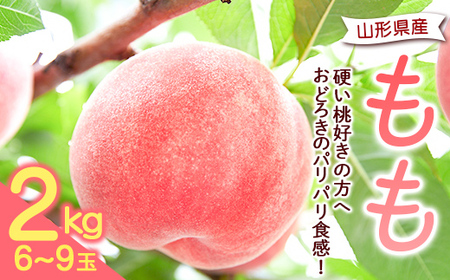 《先行予約 2026年発送》【硬い桃好きの方へ】大人気！おどろきのパリパリ食感！ 山形産もも2kg もも モモ 桃 デザート フルーツ 果物 くだもの 果実 食品 山形県 FSY-2868