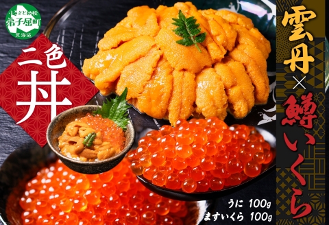 3404. うに 100g 鱒いくら醤油漬け 100g ウニ チリ産 冷凍 雲丹 ますいくら 鱒 マス イクラ いくら いくら醤油漬け 海鮮 丼 送料無料 北海道 弟子屈町