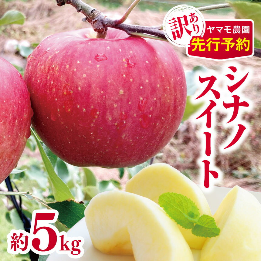 【ふるさと納税】*【2025年先行予約】ヤマモ農園 訳あり シナノスイート 約5kg | 果物 フルーツ 果実 りんご 林檎 リンゴ シナノスイート 長野県 松川村 信州
