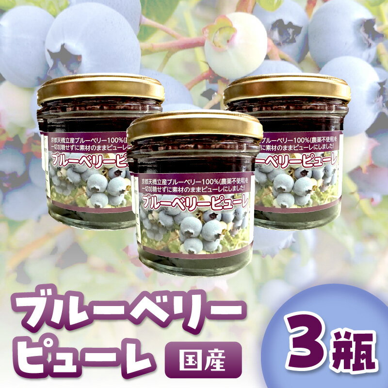 【ふるさと納税】国産ブルーベリーピューレ　農薬不使用（3瓶）加工食品 ピューレ 国産 フルーツ 果物 ぶるーべりー 大粒 瓶 ふるさと納税 フルーツ 朝食 アイス ヨーグルト 健康 生産者応援 農家応援 送料無料