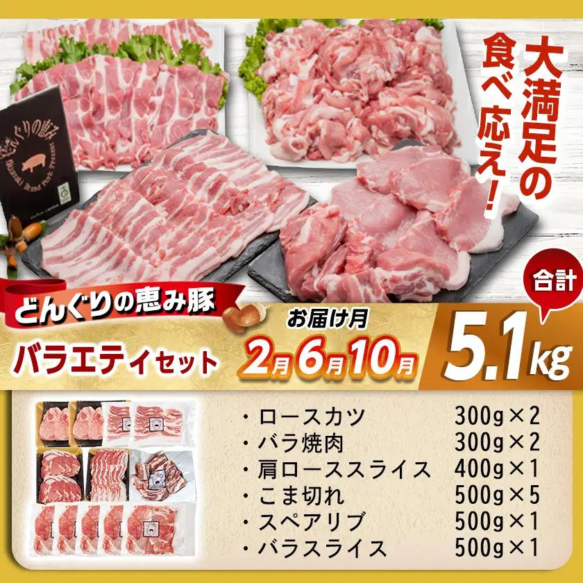 「どんぐりの恵み豚」お肉満載定期便(10ヶ月)〔T120(10)-1102〕_(都城市) 豚肉 ロースかつ 豚バラスライス 肩ローススライス こま切れ 切落し スペアリブ ロースしゃぶ バラしゃぶ 肩