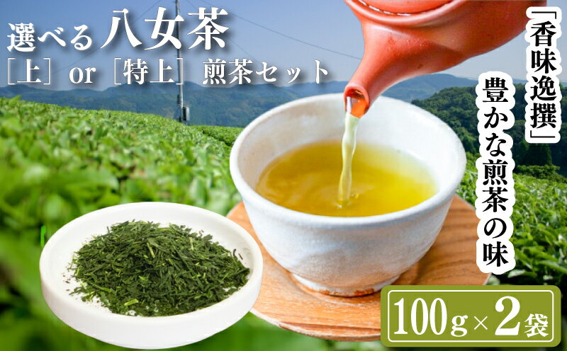 【ふるさと納税】 選べる 八女茶　【上】-【特上】 煎茶セット 100g×2袋 お茶 茶 飲み物 八女茶 茶葉 緑茶 煎茶 甘味 人気 おすすめ 福岡県川崎町
