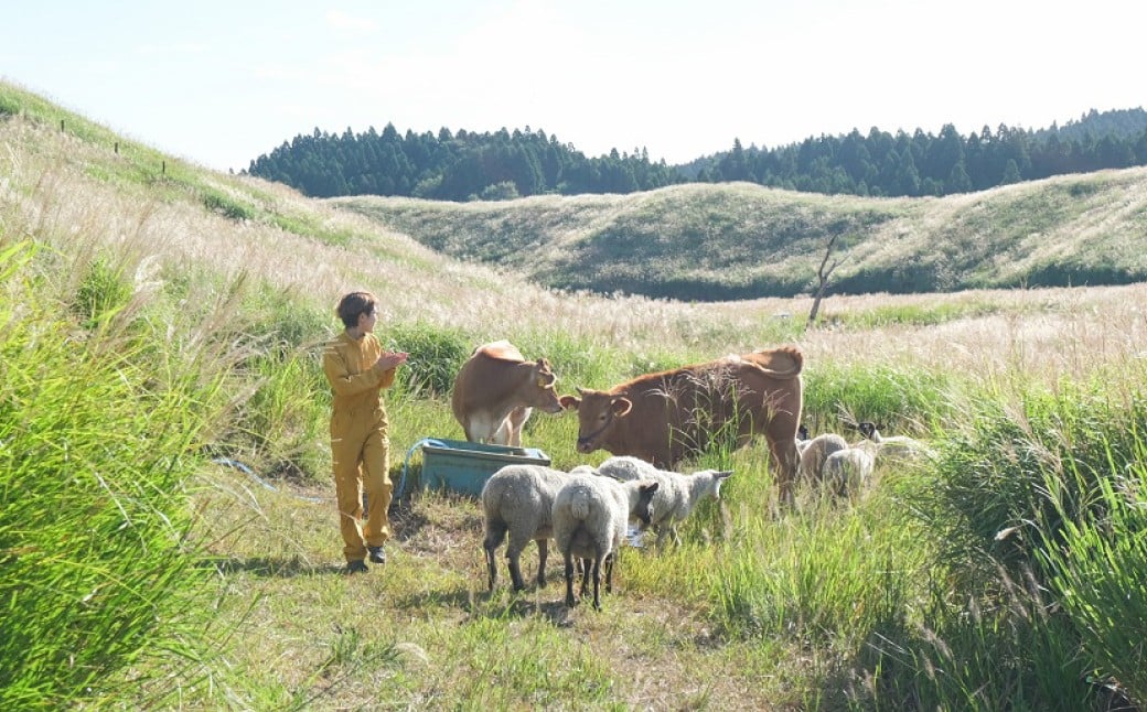 【3か月連続定期便】くまもとあか牛すき焼き 500g×3回