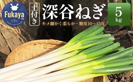 土付き深谷ネギ　5kg　【11218-0397】