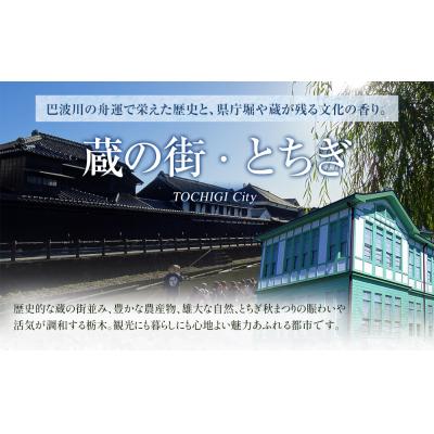 ふるさと納税 栃木市 はるオンパックスミニ (10枚入×12パック)120枚セット |  | 01