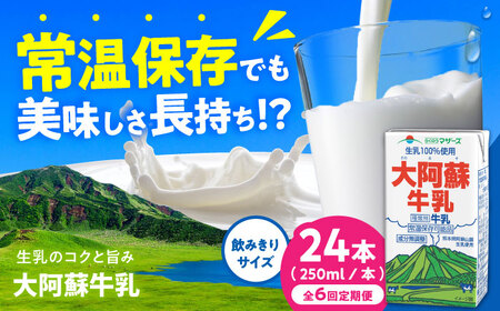 【全6回定期便】大阿蘇牛乳 ロングライフ 250ml 24本（12本入り×2ケース） 6L【合同会社 福福堂】[AYAC028]