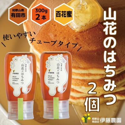 ふるさと納税 有田市 山花のはちみつチューブボトル300g 2個