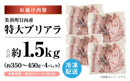 天然 ぶり 特大 ブリアラ（煮付け用）合計 約1.5kg 美浜町日向産【 アラ 】 [m36-a019]