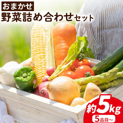 【ふるさと納税】四季のお楽しみ☆おまかせ野菜詰め合せセット(訳あり品) 5品~ 約5kg JAわかやま産直店 さわやか日高(日高町)《30日以内に出荷予定(土日祝除く)》 和歌山県 日高町 野菜セット 野菜 詰め合わせ 訳あり品