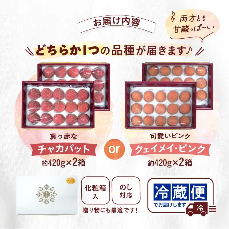 【先行予約】希少 綾生ライチ 2箱セット（化粧箱入り） / 宮崎県産 ライチ 国産【JA綾町】_A0114-237