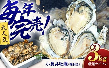 小長井牡蠣3kg 先行予約 牡蠣 AHBJ005