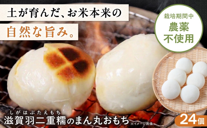 
                  滋賀羽二重糯のまん丸おもち 24個 餅 もち お餅 おもち モチ 丸餅 滋賀県長浜市/そふぁら [AQEC002]
                